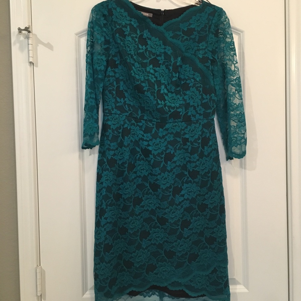 Muse Lace Cocktail Dress Size 4